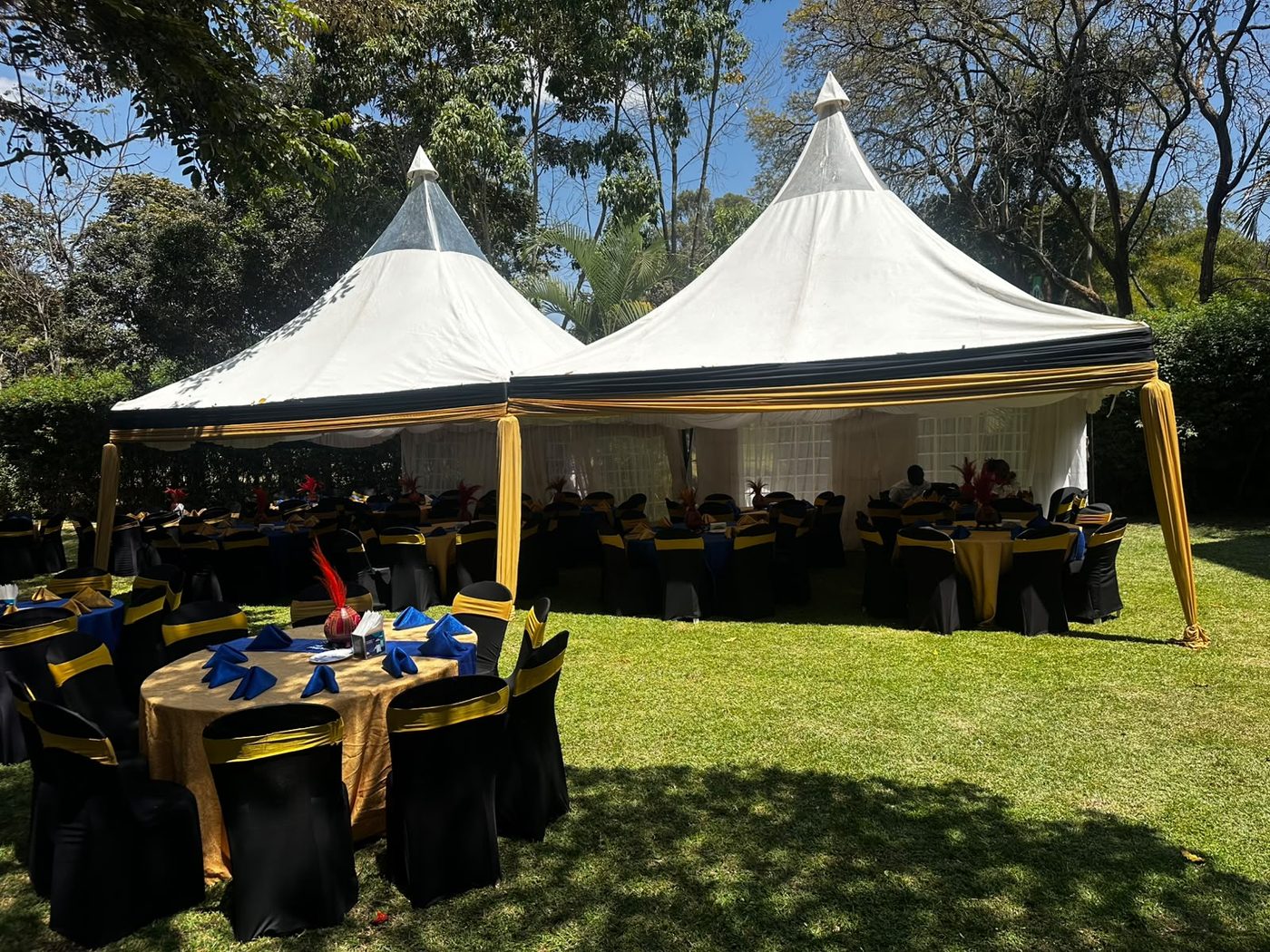 Two white peak marquees with black and gold valance draping on a club lawn under blue sky, filled with round tables in blue and gold and black chair covers with yellow sashes