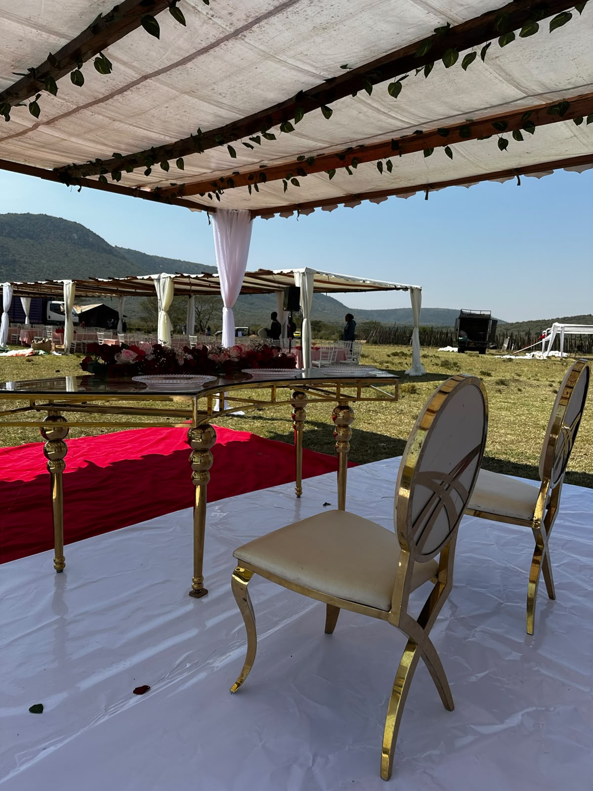 Gold oval-back chairs with cream upholstery at a gold-framed glass dining table under a canvas pergola trimmed with green garland, escarpment hills on the horizon behind
