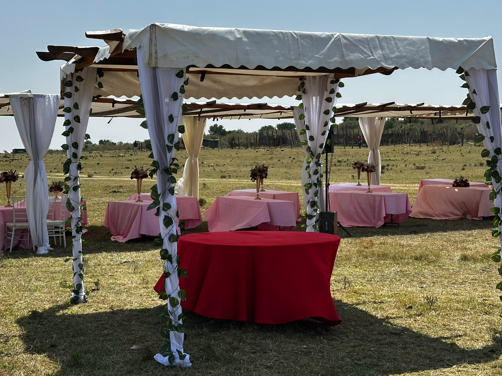 Wide view of draped white pergolas over guest dining tables dressed in pink and blush linen with gold pedestal vases of red roses, set out across open Maasai Mara grassland