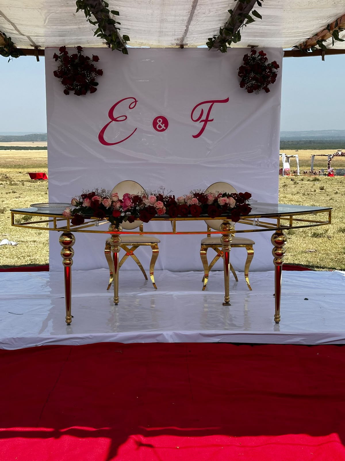 Sweetheart table for two under a draped pergola, gold and glass table with a red and pink rose runner, in front of a white backdrop with a crimson E and F monogram, savannah visible behind
